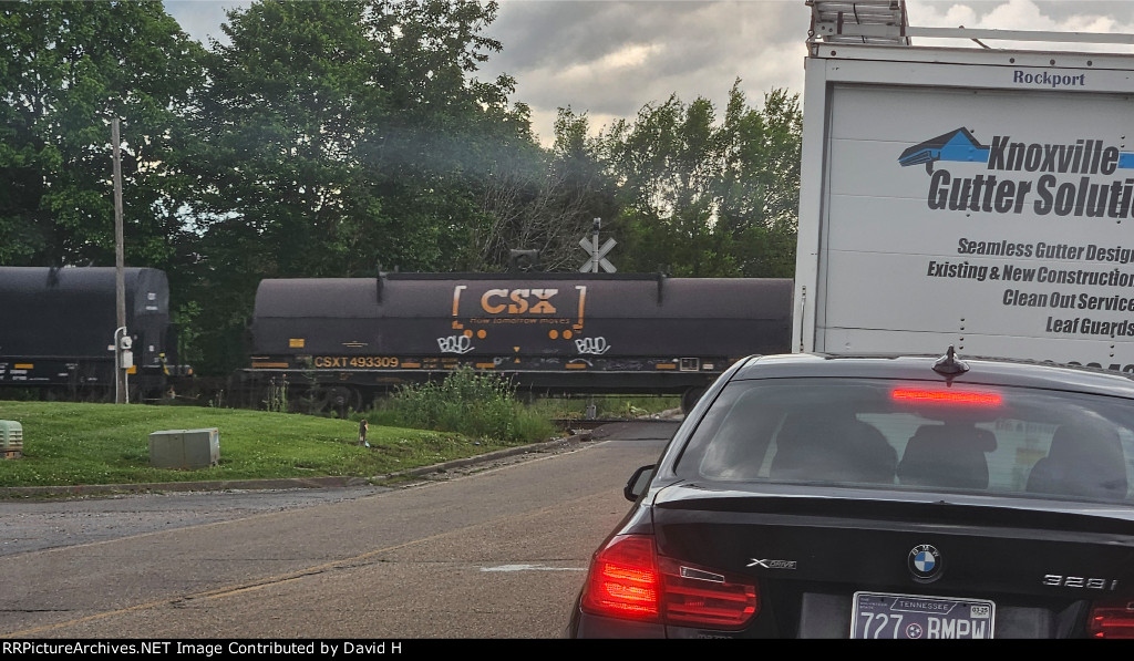 CSX 493309